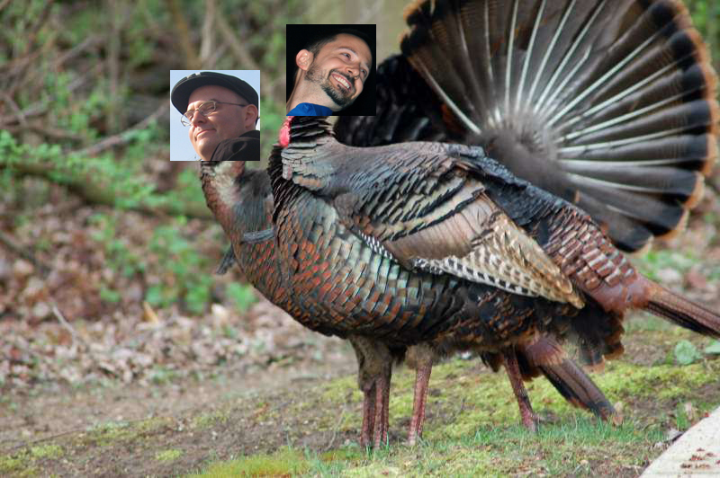 Budsgiving